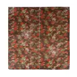 Patta Print Bamboo Chick Blind – Stylish & Durable Window Covering